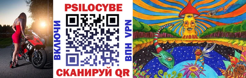 Купить закладки  Чайковский  Галлюциногенные грибы Magic Shrooms 